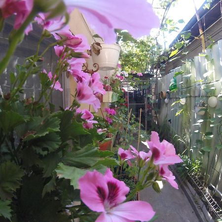 شقة Casa Milly كونستانتا المظهر الخارجي الصورة